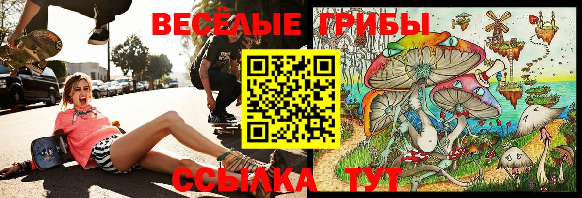 Псилоцибиновые грибы ЛСД  Псилоцибиновые грибы Cubensis  Кемерово  продажа наркотиков  Вход с VPN 